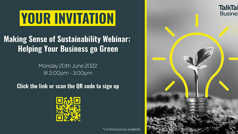 Making Sense of Sustainability Webinar - Helping Your Business go Green 