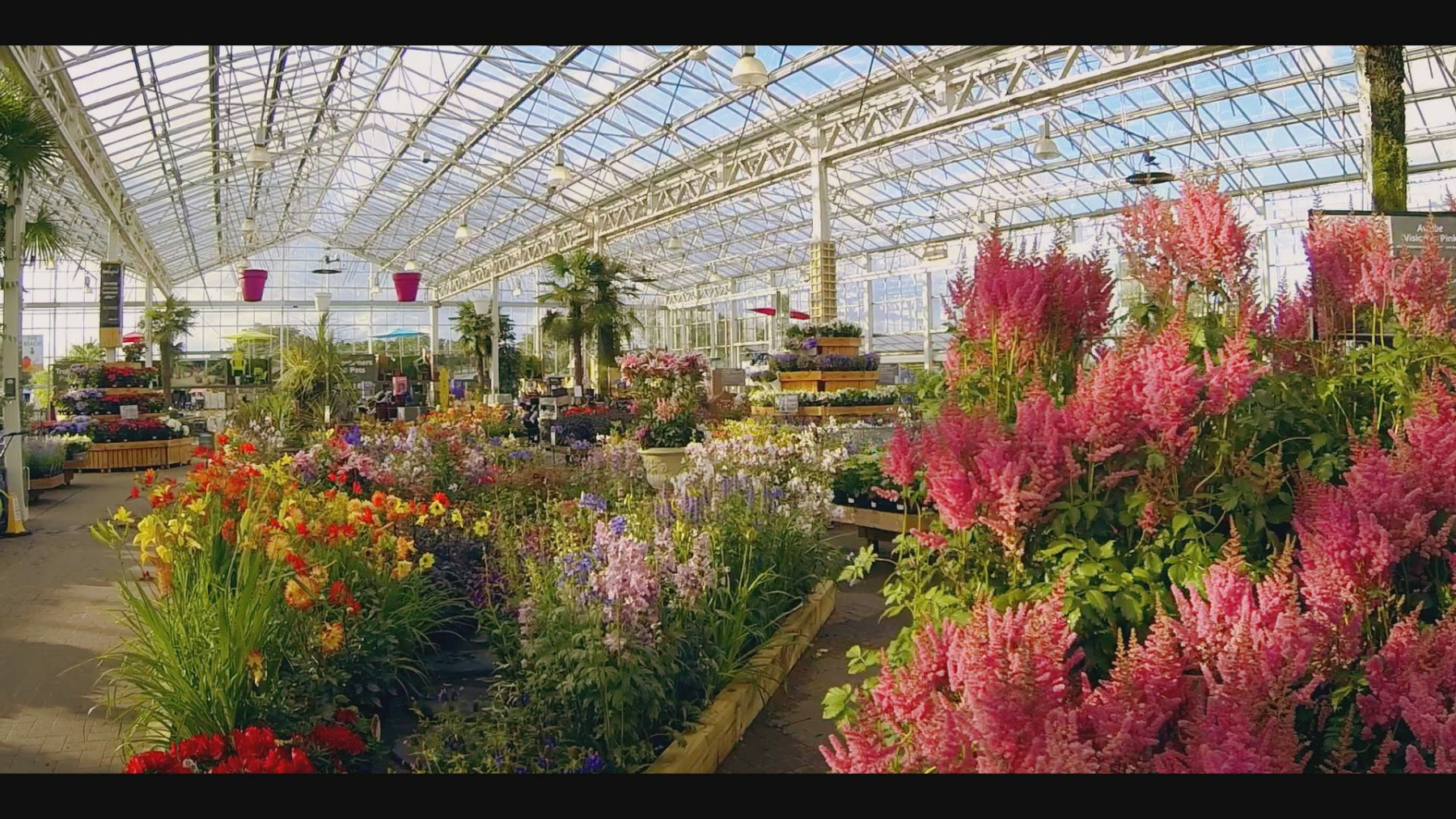 422 Vision To Produce Christmas Commercial For Bents Garden Home Prolific North