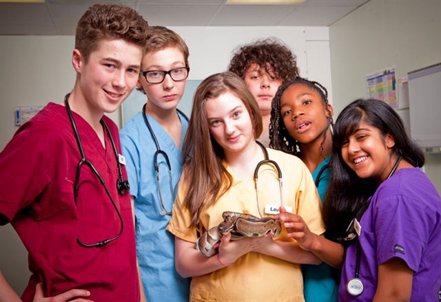CBBC-Jr-Vets-15_0