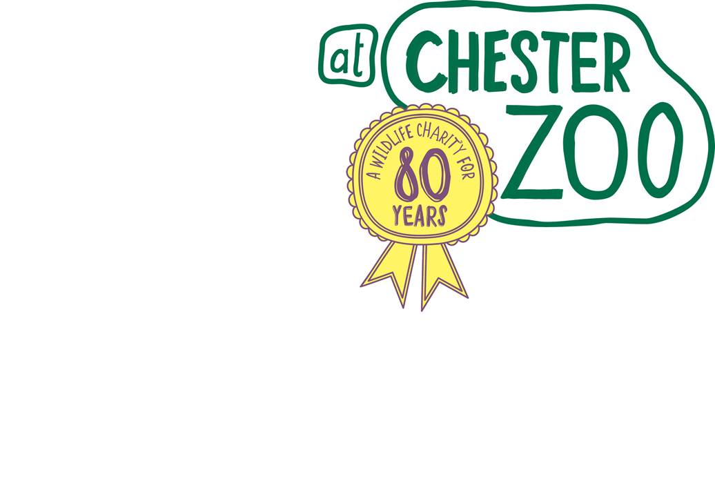 Chester Zoo appoints Intermarketing Agency following competitive pitch