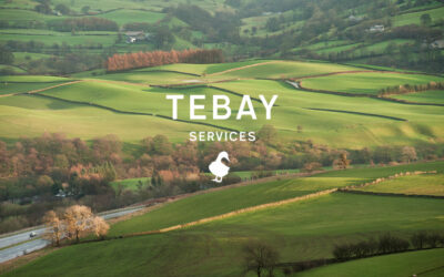 tebay_0