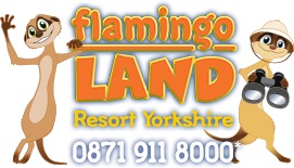 flamingo_0