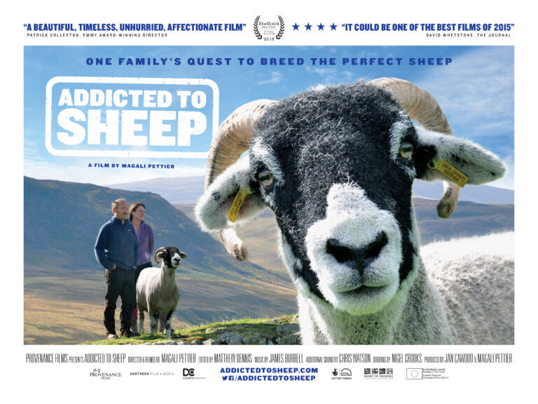 Addicted-to-Sheep-Poster_0