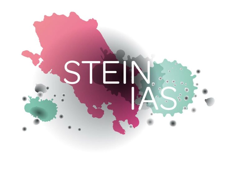 stein_0