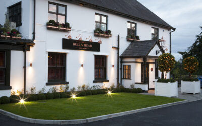 BullsHead_0