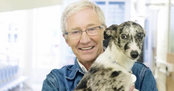 FOR_THE_LOVE_OF_DOGS_01_0
