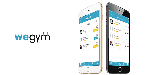 wegym_0