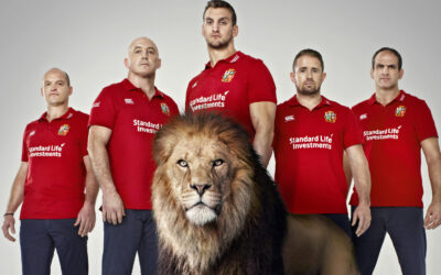 lions_0