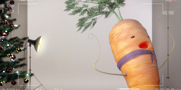 CARROT_0