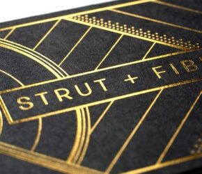 Strut-and-Fibre1_0