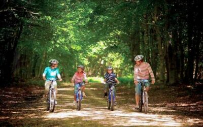 Center-Parcs-review1_0