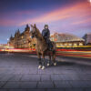 Edit News MMP Global works with Merseyside Police on Mounted Section campaign