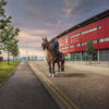 Edit News MMP Global works with Merseyside Police on Mounted Section campaign
