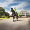 Edit News MMP Global works with Merseyside Police on Mounted Section campaign