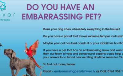 Embarrassing Pets