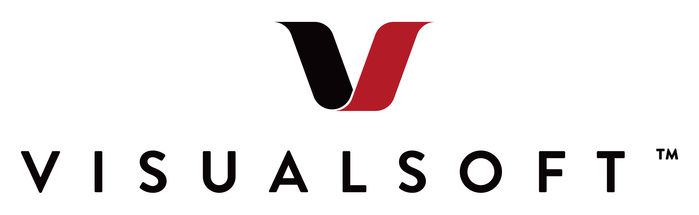 visualsoft_logo