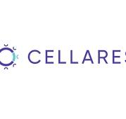 Cellare