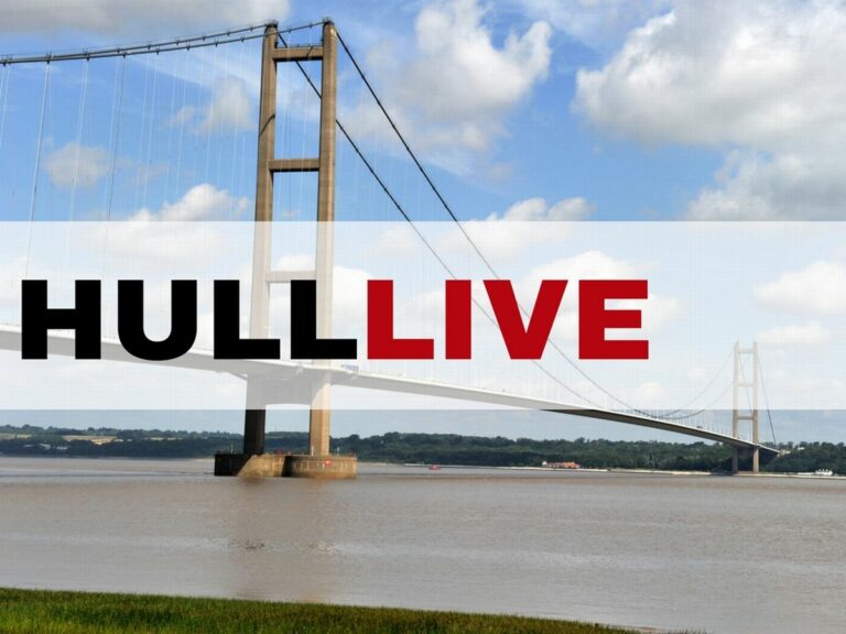 hulllive