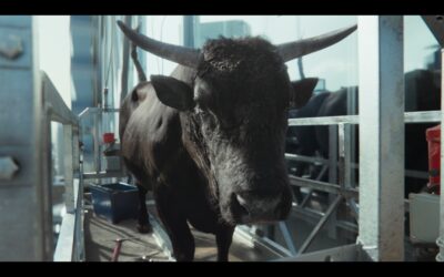Moneysupermarket