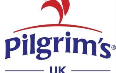 pigrims