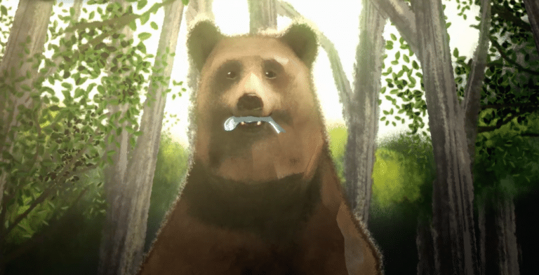 Northforge bear video