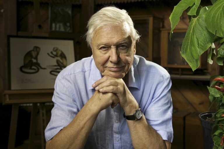 davidattenborough0