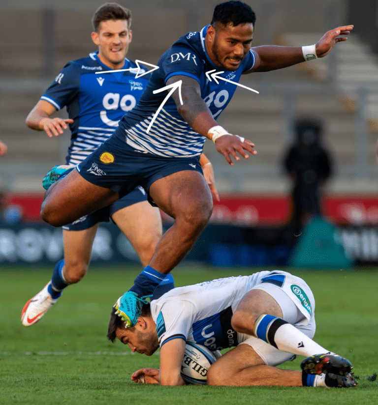 DMR Sale Sharks