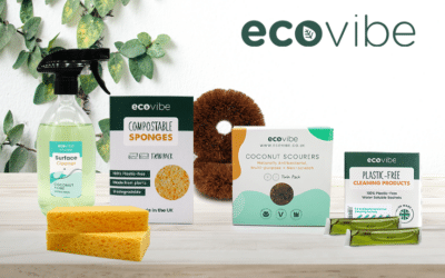 ecovibebrandimage