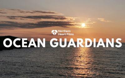 oceanguardiansquorn