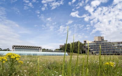 UEA's Norwich campus