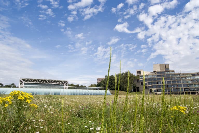 UEA's Norwich campus