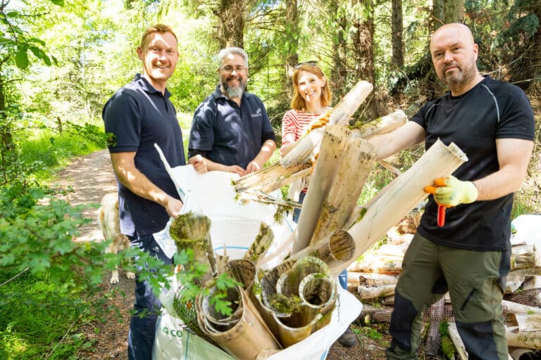 The 75Media team remove plastic tree guards