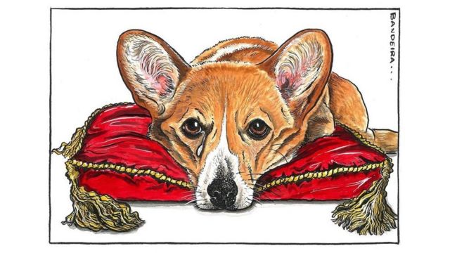 Graeme Bandeira's well-received corgi image
