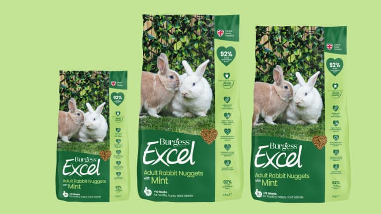 Burgess Excel