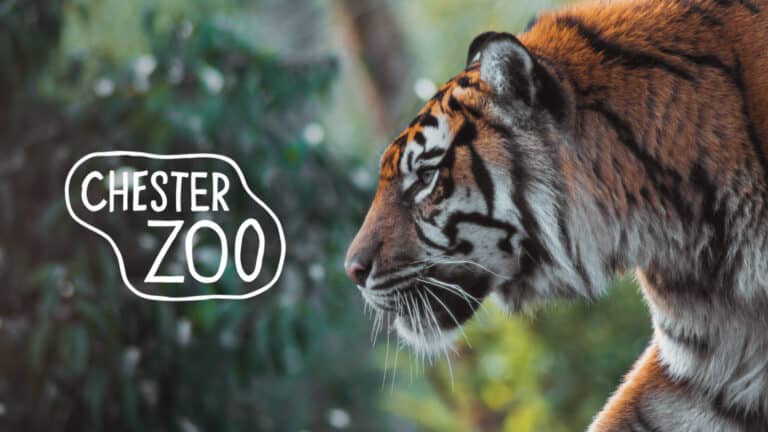 Chester Zoo