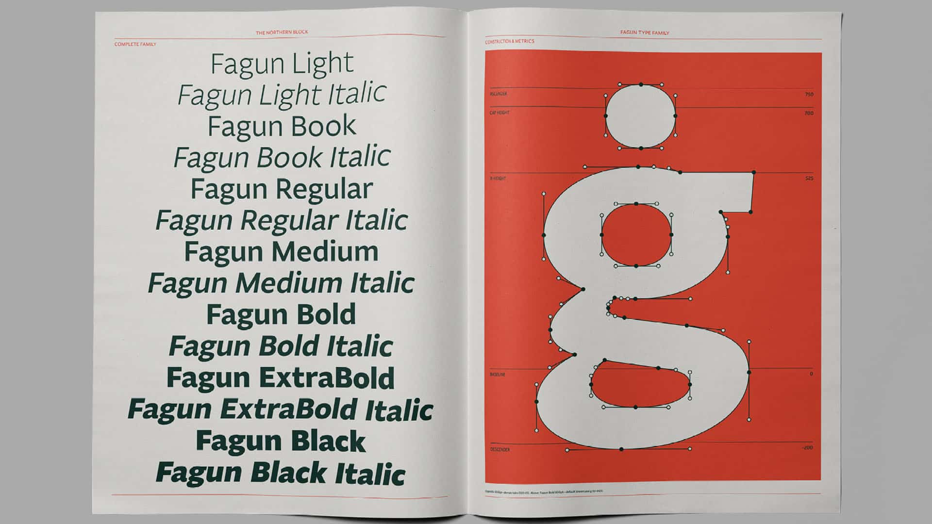 fagun_2