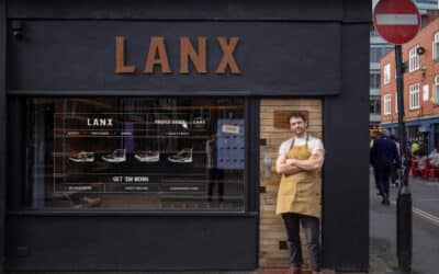 lanxwindowgraphic
