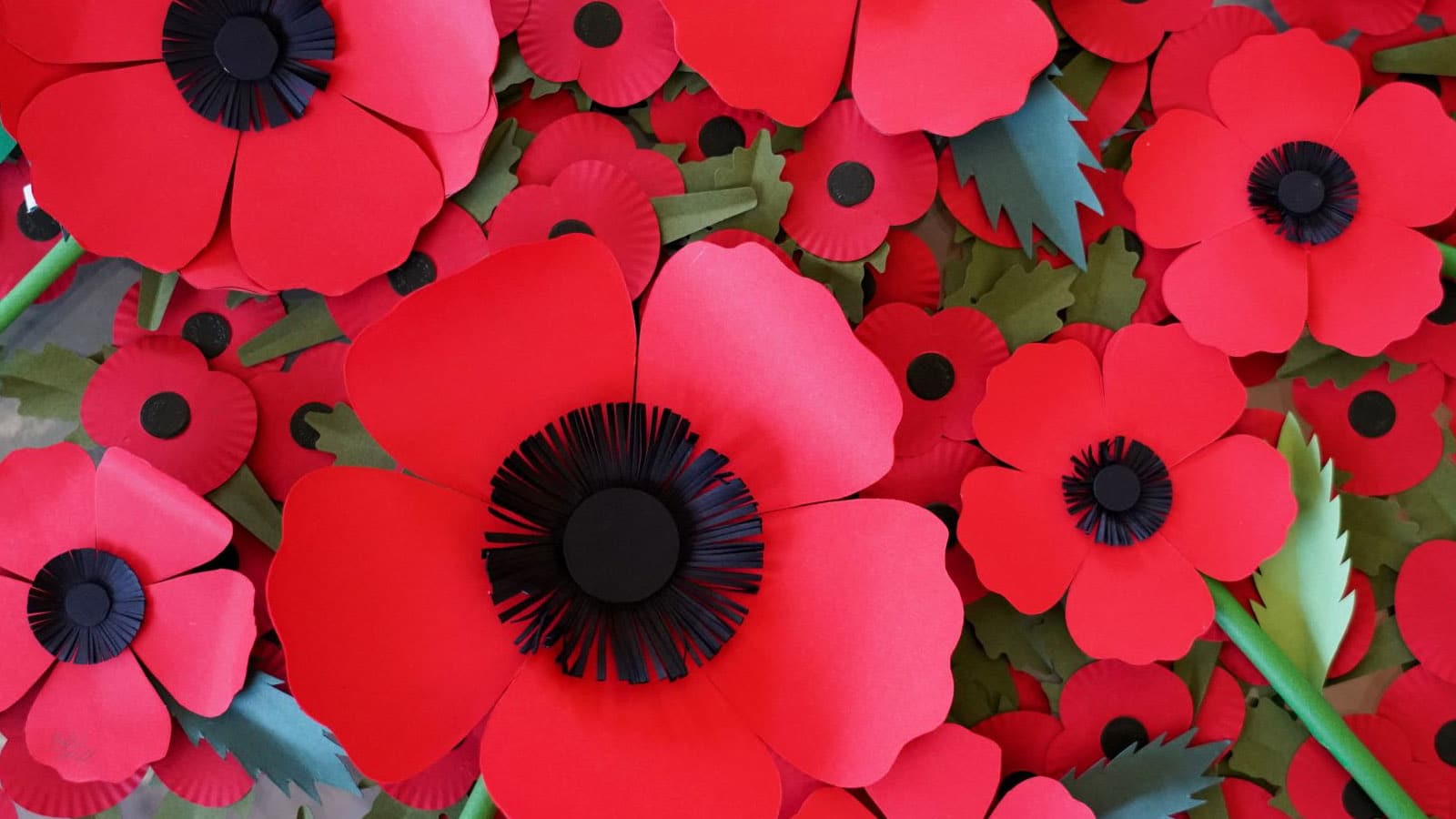 Matter designs recyclable plastic-free remembrance poppy