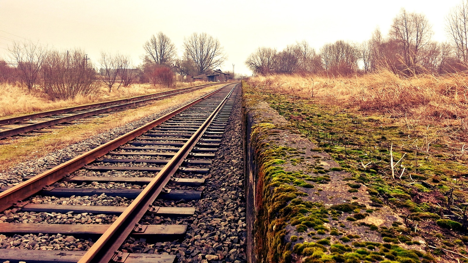 Public Accounts Committee: Scaled-back HS2 'will not be value for money' - Vimarsana News
