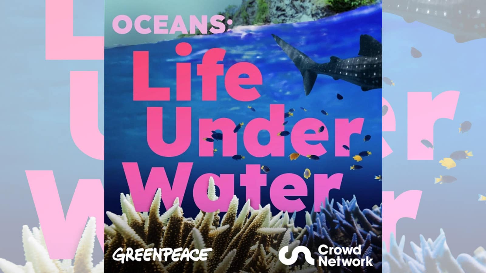 Greenpeace takes deep dive into the Oceans with Crowd Network - Vimarsana News