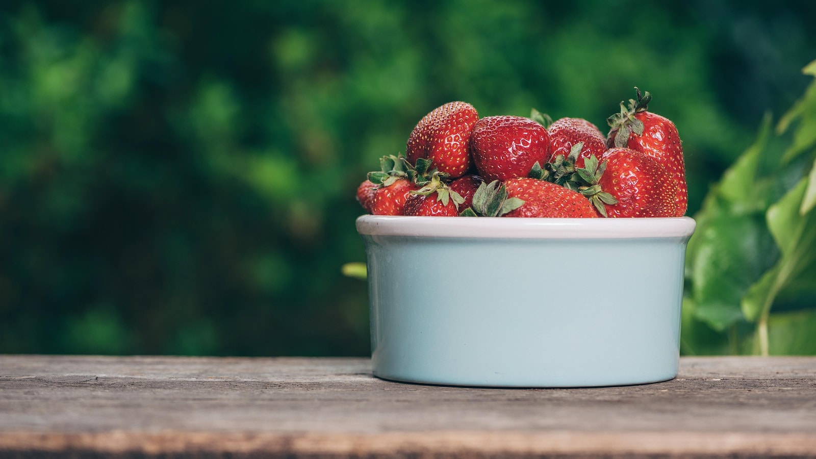 Manchester tech startups land £300k to keep UK's £1.5bn berry industry growing - Vimarsana News