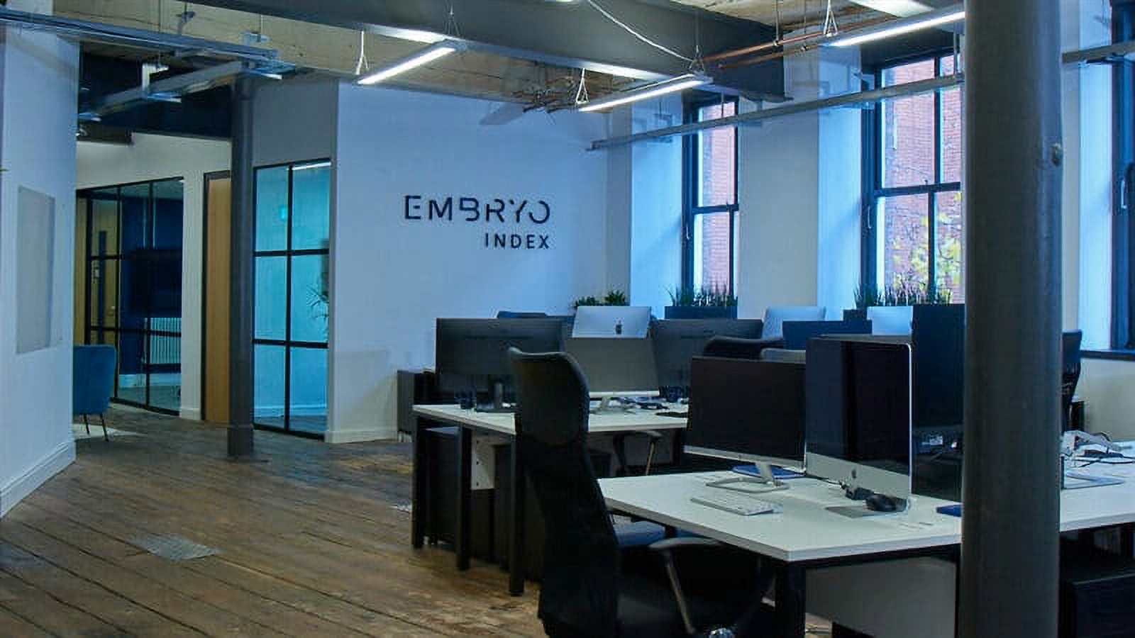 Eight new hires and a sunshine break for Embryo team - Vimarsana News