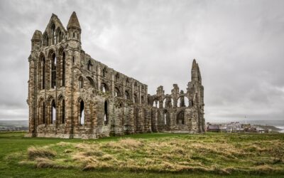 Image accompanying: Warp Films and BFI funding chiefs among big-name mentors for Screen Yorkshire Local Landscapes, Global Horizons lab