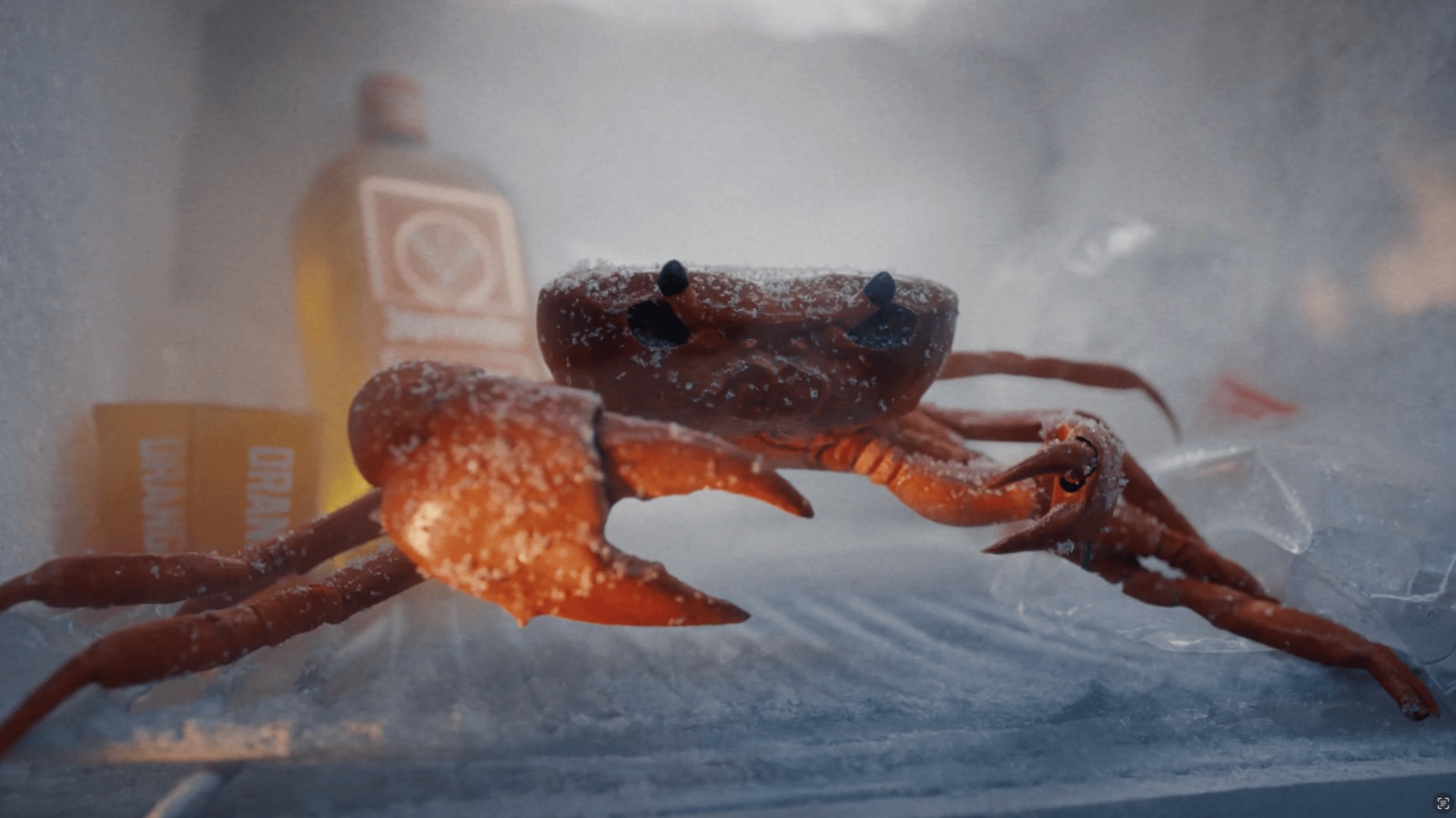 Surprising times in Leeds studio's new global Jägermeister campaign