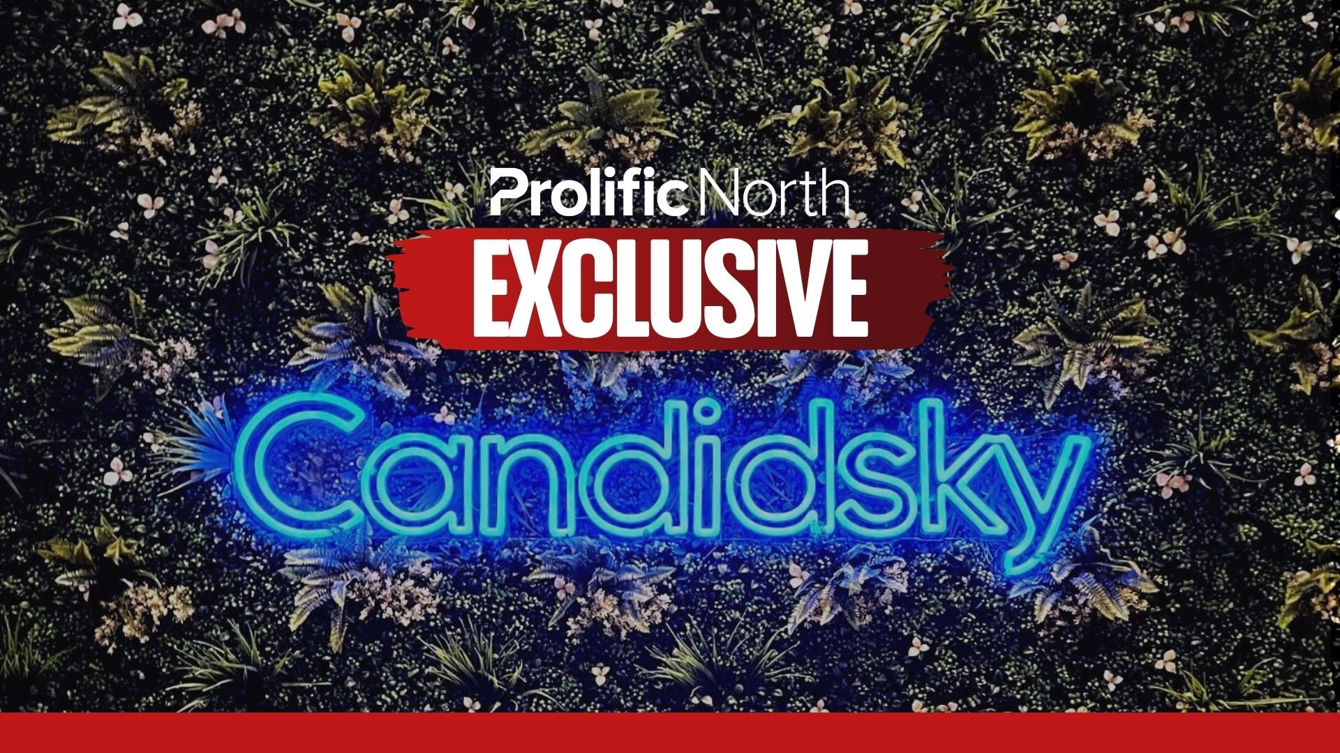 Client losses, cashflow pressures and shrinking workforce: How Candidsky's ambitious takeover gave way to a year of upheaval